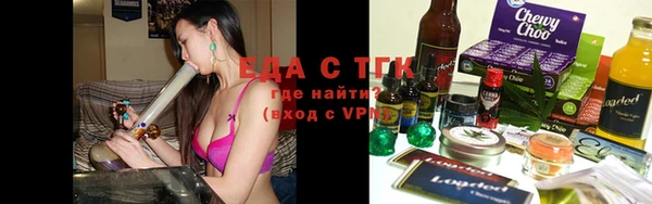 тгк Медногорск