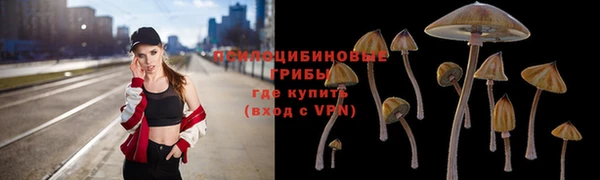 ГАЛЛЮЦИНОГЕННЫЕ ГРИБЫ Мегион