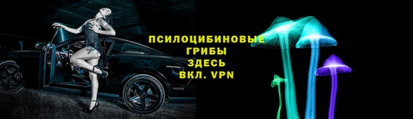 ALPHA PVP Медвежьегорск