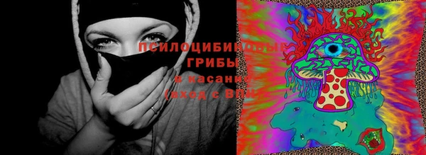 ALPHA PVP Медвежьегорск