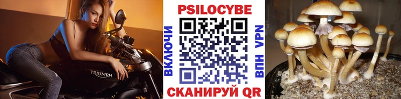 Купить  Сольвычегодск  Псилоцибиновые грибы прущие грибы 